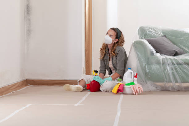 Reliable Basement Mold Remediation contractor in North Bergen, NJ by WQB Mold Removal